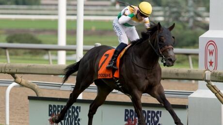 Jerome Lermyte rode Neepawa to victory in the third and final jewel of the OLG Canadian Triple Crown on Saturday. neepawa