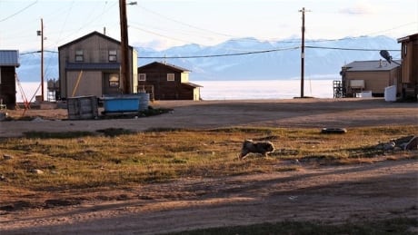 Pond Inlet