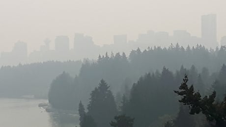 Vancouver, barely visible through the smoky haze, as seen from Stanley Park. Stanley Park smoke