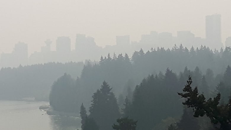 Air Quality Plummets In Metro Vancouver As Wildfire Smoke Blankets South Coast Cbc News