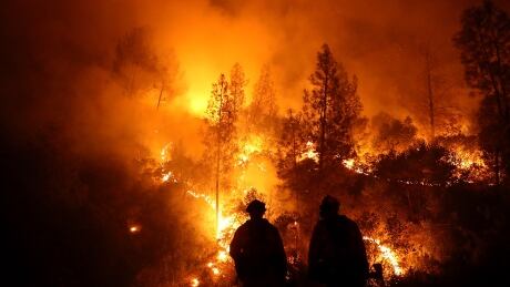 LODOGA, CA - AUGUST 07: Firefighters monitor a back fire as they battle the Medocino Complex fire on August 7, 2018 near Lodoga, California. The Mendocino Complex Fire, which is made up of the River Fire and Ranch Fire, has surpassed the Thomas Fire to become the largest wildfire in California state history with over 280,000 acres charred and at least 75 homes destroyed. (Photo by Justin Sullivan/Getty Images) 775205899JS021_Mendocino_Co
