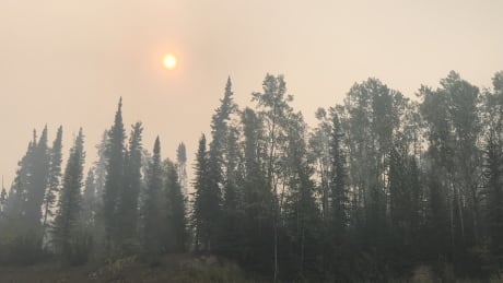 Smoky skies
