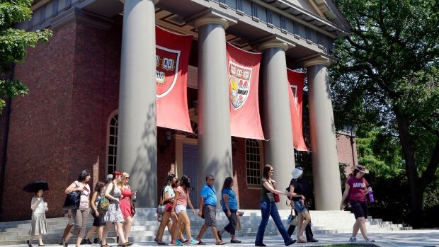 Elaborate hoax speaks to flaws in academic review process, says expert | CBC Radio