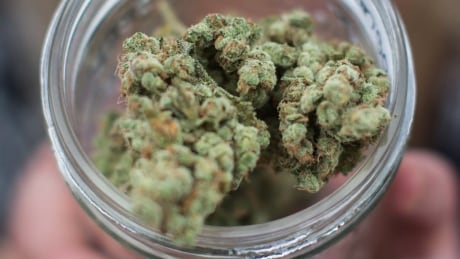 A vendor displays marijuana for sale during the 4-20 annual marijuana celebration, in Vancouver, B.C., on Friday April 20, 2018. Quebec's government-run cannabis monopoly has launched a hiring drive with jobs starting at $14 per hour, but it cannot yet confirm Montreal will be among the cities getting the first wave of pot stores. Que Cannabis Hiring 20180629