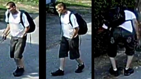 Arson East Vancouver hedges