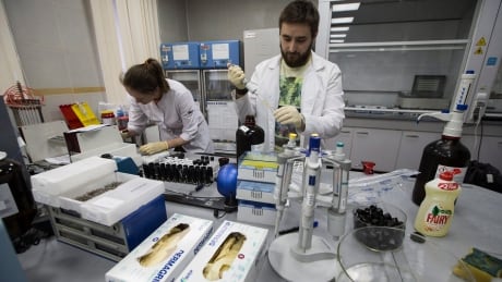 WADA panel recommends reinstatement of Russian anti-doping agency
