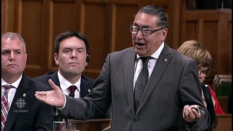 MP drops F-bomb in Commons, accuses Trudeau of not caring about Indigenous rights CBC News pic pic