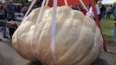 Giant pumpkin