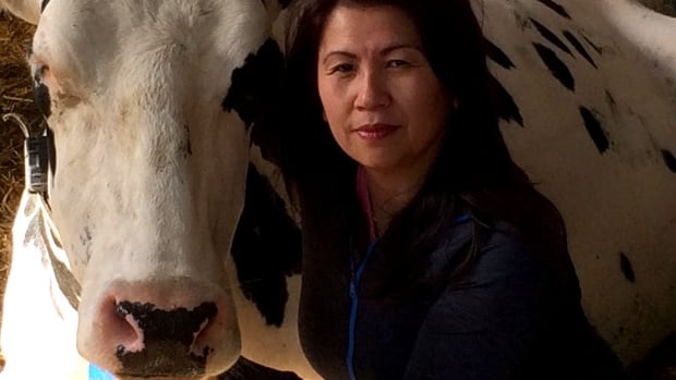 'Buy local' dairy campaign sparked by trade deal that allows more U.S. milk into Canada | CBC News