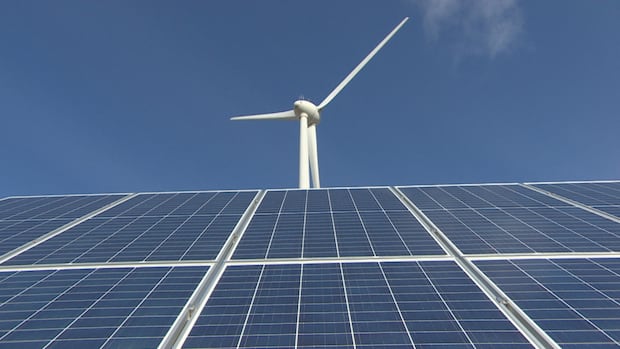 Alberta policies have dampened investor confidence in renewables: report