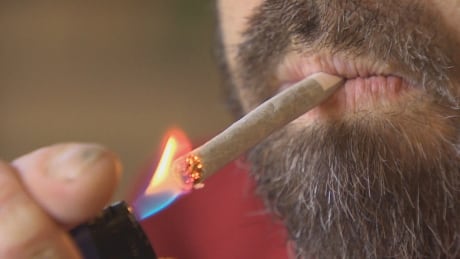 It will be legal to buy and use marijuana in Newfoundland and Labrador on Oct. 17. lighting-joint-marijuana
