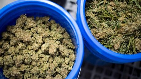 Expect cannabis to be 'sold out' across the country, says Aphria