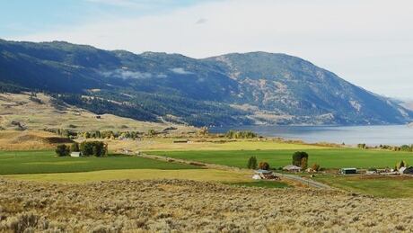 Merritt valley cannabis