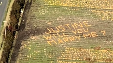 Pumpkin marriage proposal