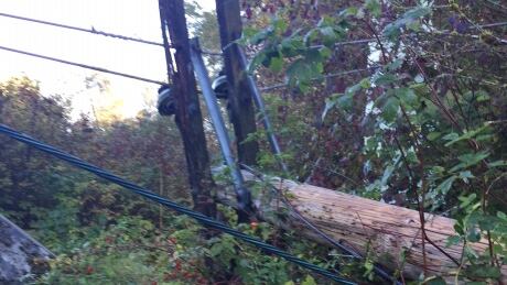 One of two hydro poles that were felled by vandals with a chainsaw. Hydro pole chain sawed