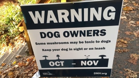 A sign warns that mushrooms near the Cates Park area might be toxic to dogs. Warning