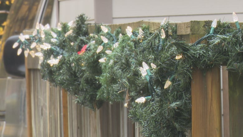 christmas lights have already started appearing across homes in windsor dale molnarcbc - Is November Too Early For Christmas Decorations christmas lights have already started appearing across homes in windsor dale molnarcbc - Is November Too Early For Christmas Decorations