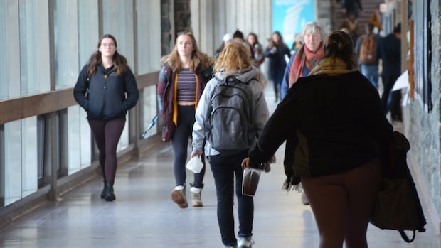 Post-secondary sector says budget measures won't avert crisis in northern colleges and universities