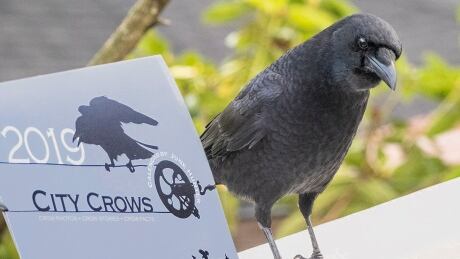 Marvin with calendar