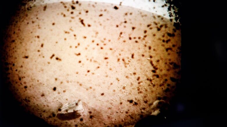 Flawless Nasa S Insight Lander Touches Down On Mars