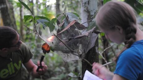 Philippe Fernandez-Fournier Samantha Straus ubc