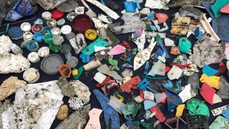 Plastic pollution recovered by volunteers in Gord John's Vancouver Island riding of Courtenay-Alberni in 2018. Ocean plastics debris from Gord Johns Courtenay-Alberni riding