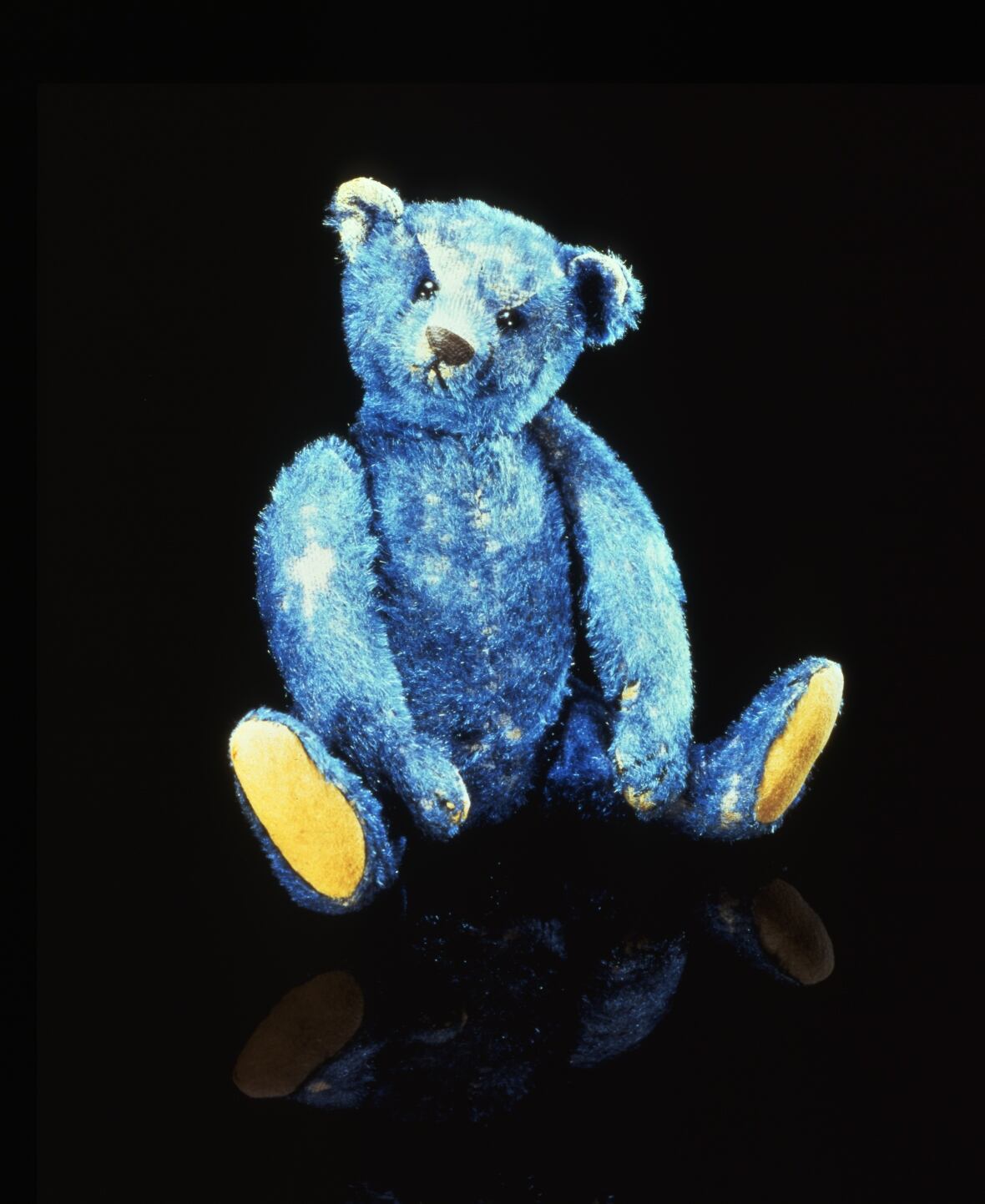 最終価格　Steiff Teddy Bear blue The rare Steiff teddy bear that came to live in Canada | CBC
