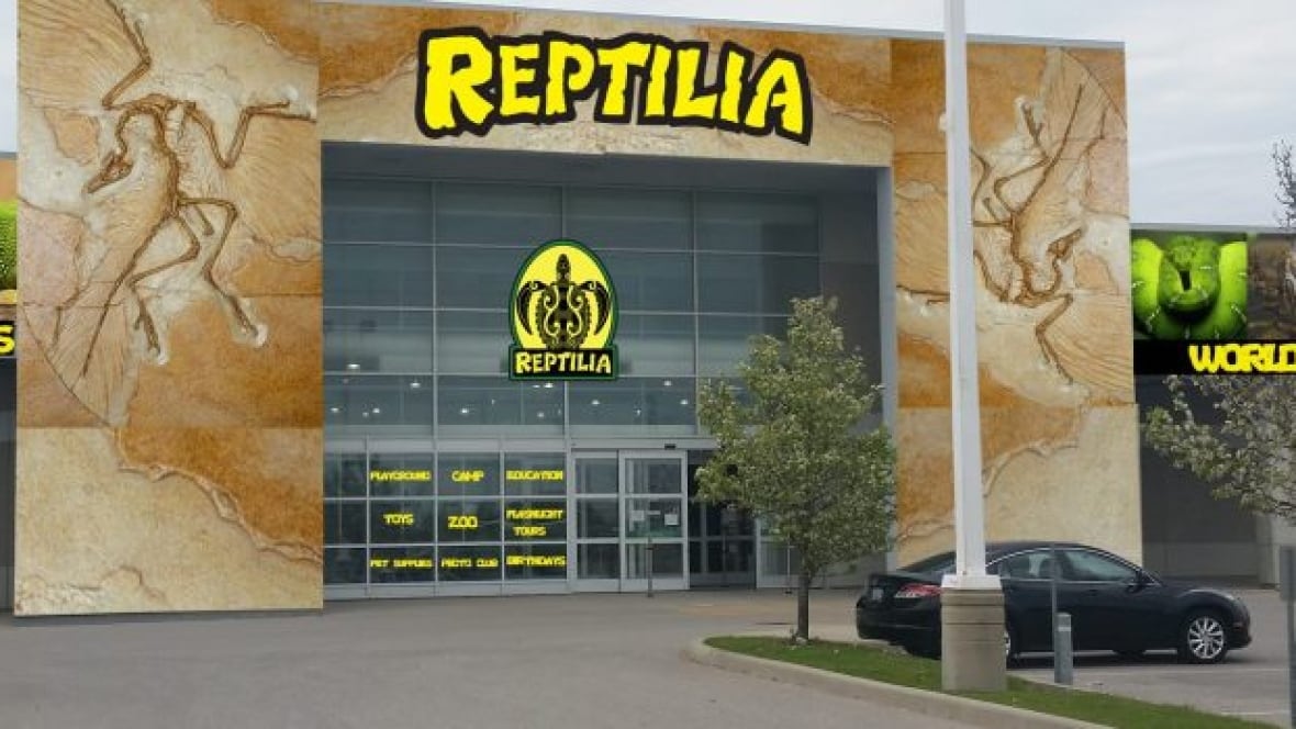 Reptilia Vaughan Weather