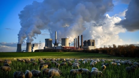 Steam rises from the Neurath and Niederaussem coal-fired power plants in Bergheim, Germany, Europe's largest carbon dioxide source. Donald Trump approves. Coal