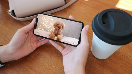 The Furbo dog camera is a #1 bestseller in pet supplies on Amazon and it's just one of many similar tech products available for pets. Furbo