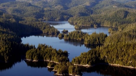 Some of the timbered rock cliffs and deep blue waters of Broughton Archipelago are shown on Nov. 4, 2003. Seventeen fish farms in the area are going to be phased out over the next four years, the province announced Friday. SALMON FARMS broughton archipelago