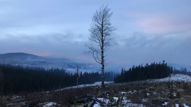 Winter wildfire a reminder for Albertans to exercise caution year-round