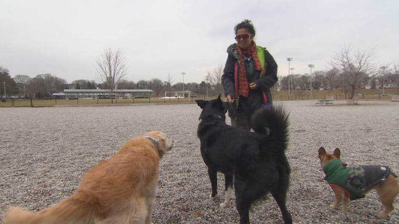 Greenwood Dog Park Map