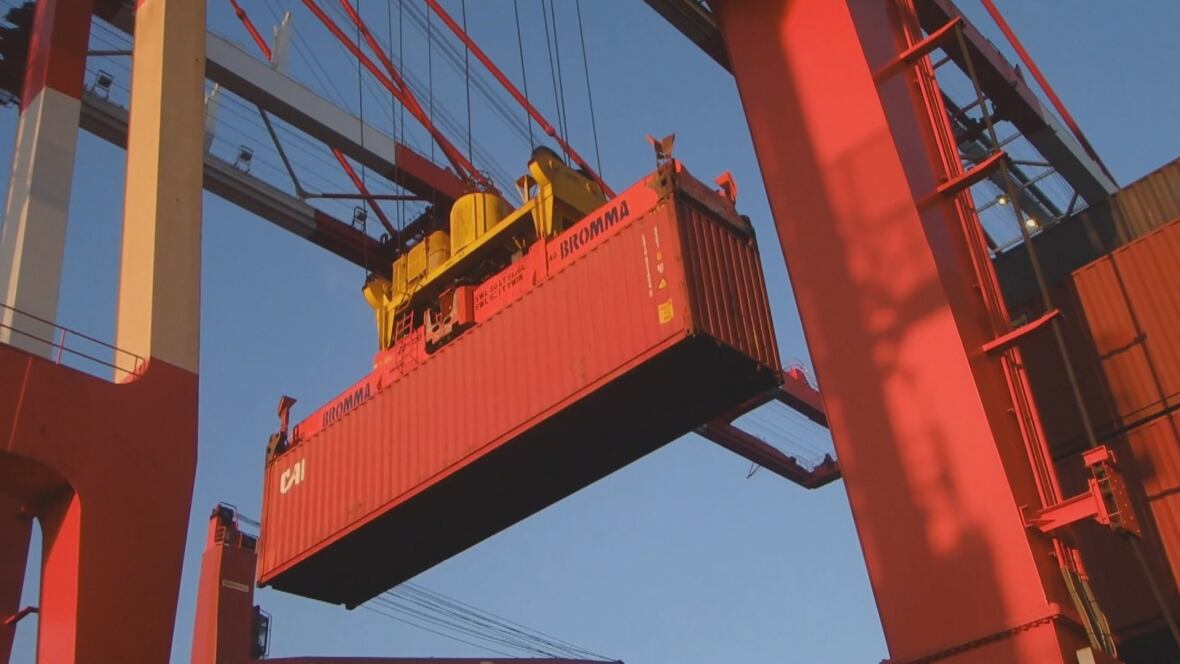 Highflying crane operators keep containers moving through Halifax