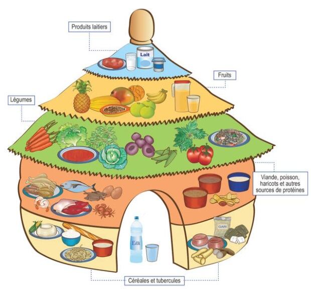 Here's what food guides around the world look like CBC News