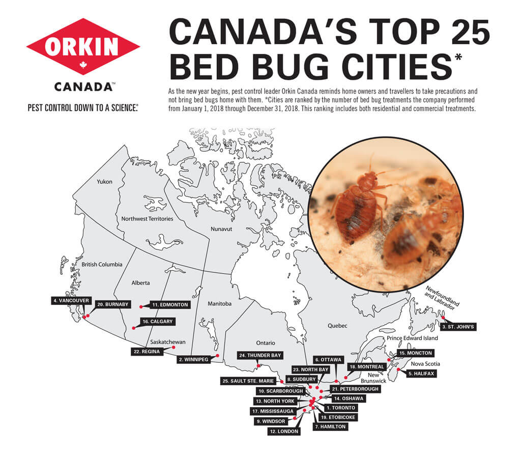 Orkin Bed Bugs Treatment Cost