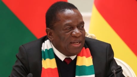 Zimbabwe's leader says violence by security forces 'unacceptable'