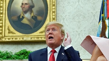 A bombshell report says that U.S. President Donald Trump directed his former fixer and personal lawyer Michael Cohen to lie during his testimony before Congress about a deal to construct a Trump Tower in Russia. Trump ears