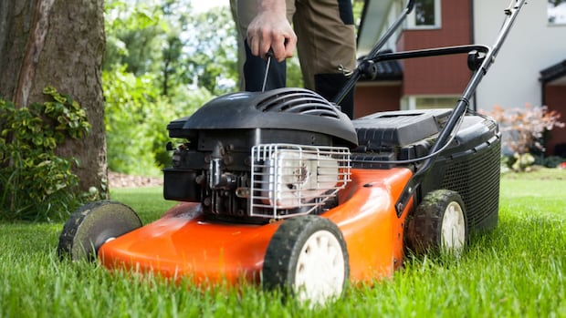 Winnipeggers warned to keep their grass short or face fines