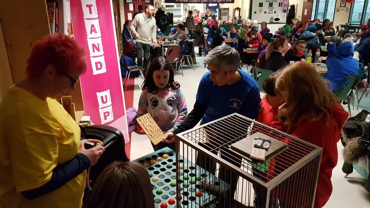 Winter weather too wintry, cancels part of Stephenville carnival CBC News