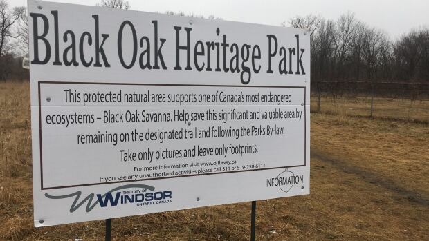 Why this year's Jane's Walk wants to focus on diverse histories
