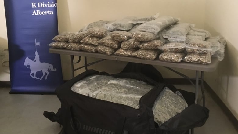 Kg Near Me >> Traffic Stop Near Banff Leads To Seizure Of 148 Kg Of Cannabis Rcmp Kg Near Me >> Traffic Stop Near Banff Leads To Seizure Of 148 Kg Of Cannabis Rcmp