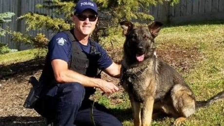 Hammer lives with his handler Cpl. Don Graves when not on duty. Hammer, the rcmp dog nabs suspects