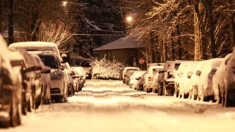 South Vancouver saw five to 10 centimetres of incessant snowfall on Sunday. The city, as well as the rest of the South Coast, is in for another punch of snow on Monday. snow