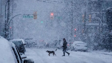 A person walks a dog as heavy snow falls in Vancouver, on Feb. 10, 2019. Environment Canada has issued another snowfall warning for Tuesday morning in Metro Vancouver and the lower Fraser Valley. snow vancouver bc storm