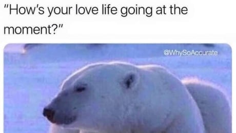 When the group was just getting going, members posted memes in anticipation. Inuk dating group meme