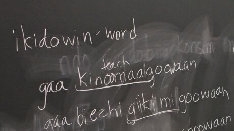 APN A Living Language