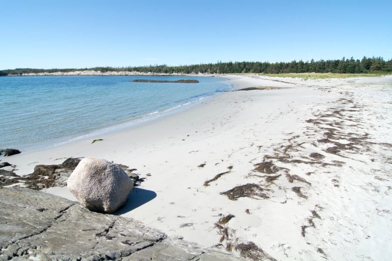 Ottawa pledges $1.45M to protect 7 ecological sites in Nova Scotia