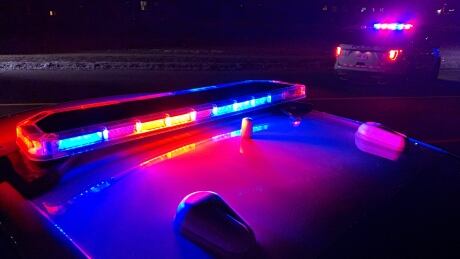 Complaints against the police should not be investigated by them, the B.C. Civil Liberties Association says on the eve of a regular audit of the Office of the Police Complaint Commissioner. Police car cruise sirens lights emergency service Peel