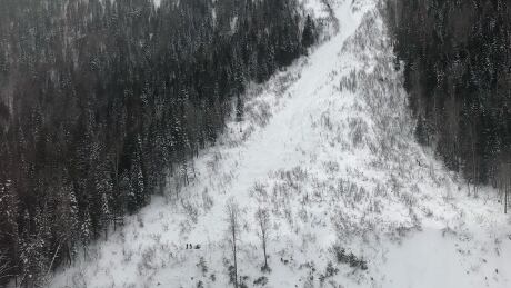 Fernie Search and Rescue say five people were skiing on Mt. Fernie when an avalanche was remote triggered above them. Fernie avalanche